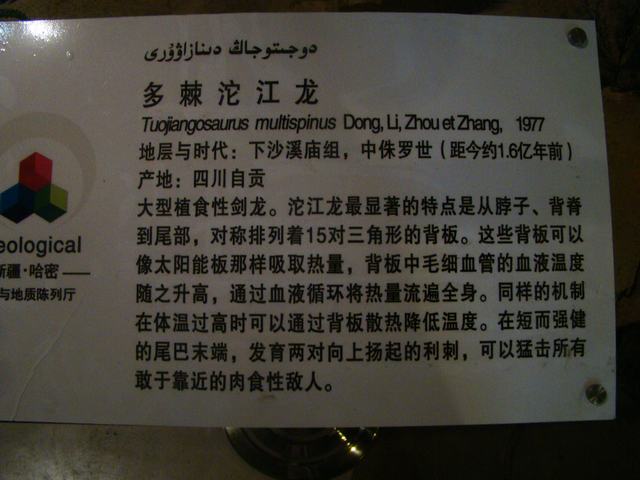 DSC09032.JPG
