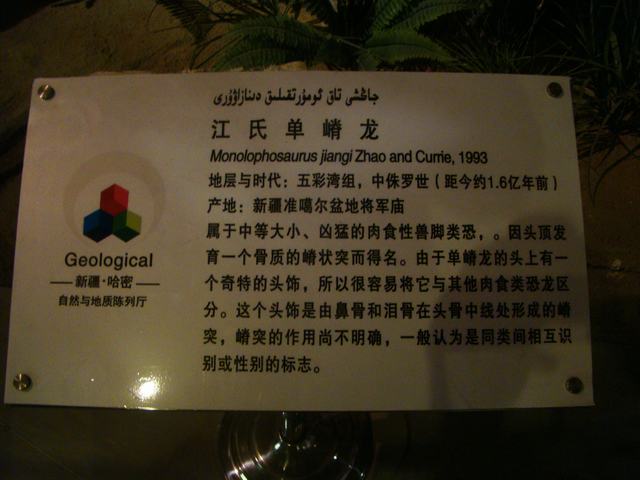 DSC09028.JPG