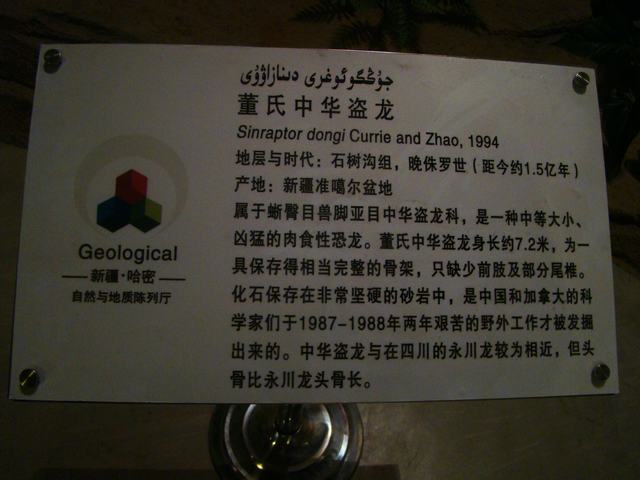 DSC09030.JPG