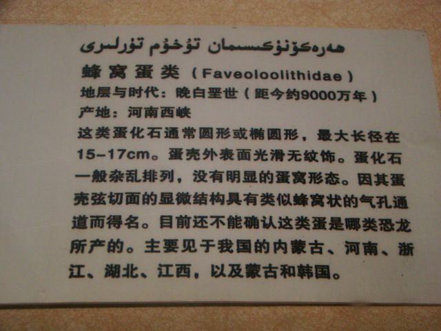 DSC09034.JPG