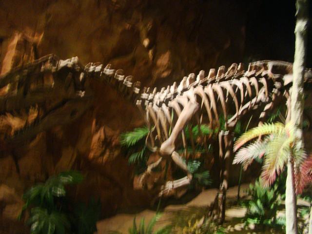 DSC09029.JPG