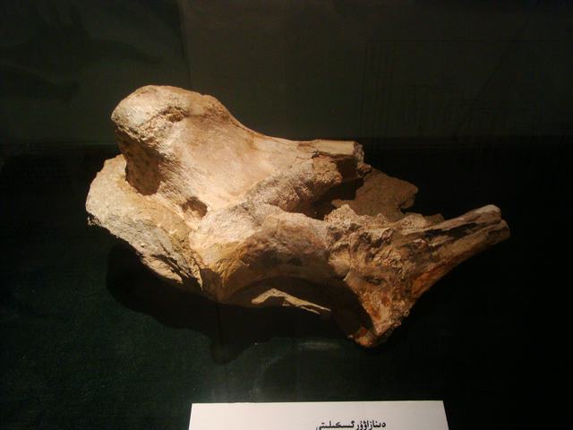 DSC09039.JPG