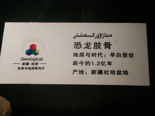 DSC09038.JPG
