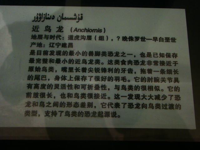 DSC09036.JPG