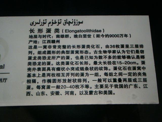 DSC09042.JPG