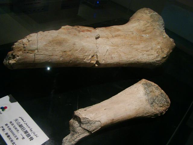 DSC09041.JPG