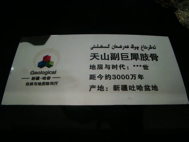 DSC09040.JPG