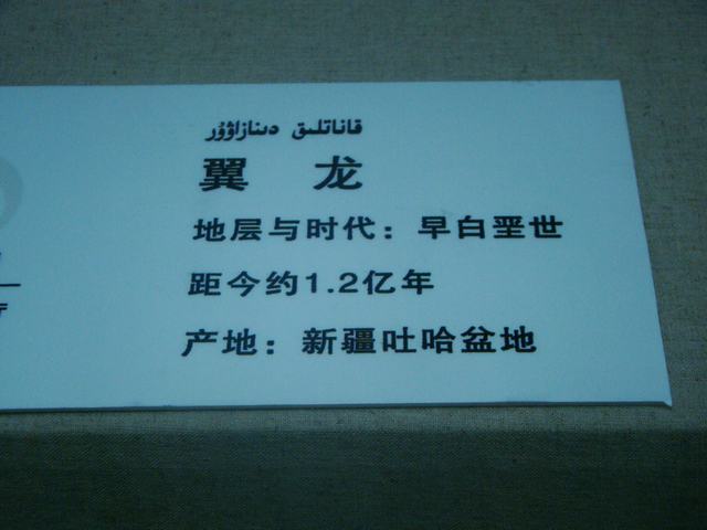 DSC09046.JPG