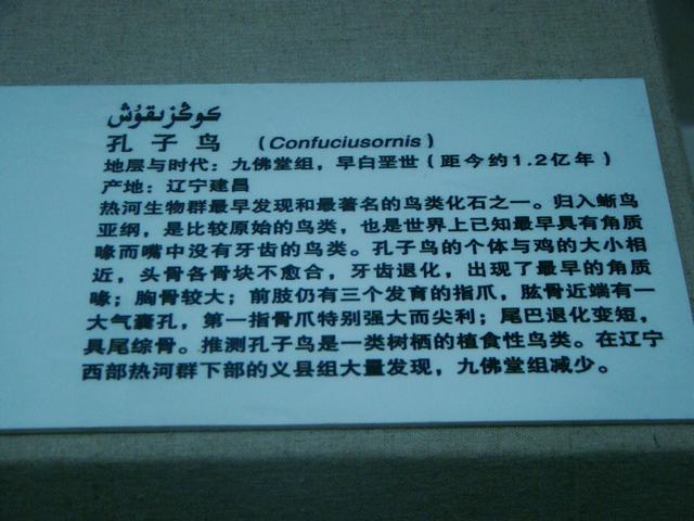 DSC09048.JPG