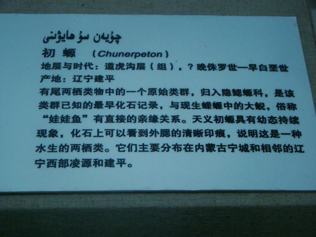 DSC09052.JPG