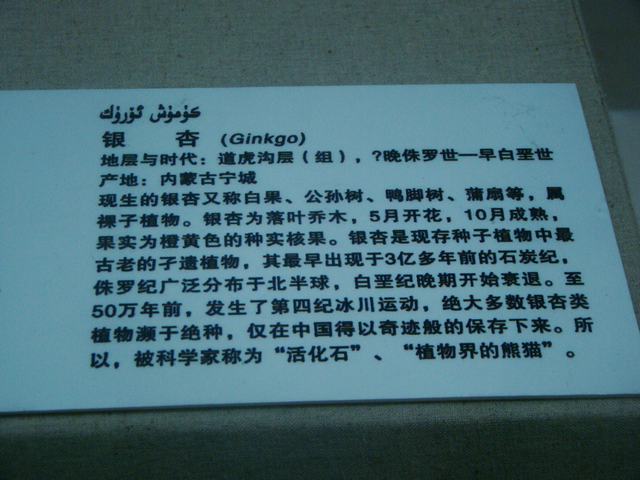 DSC09050.JPG