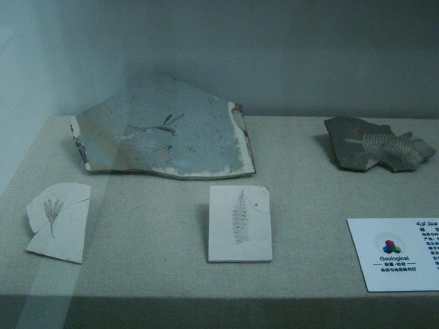 DSC09051.JPG
