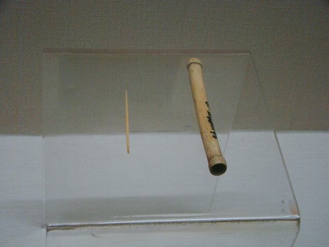 DSC09259.JPG