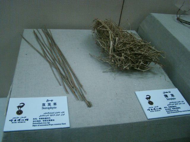DSC09260.JPG