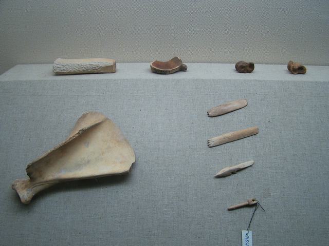 DSC09276.JPG