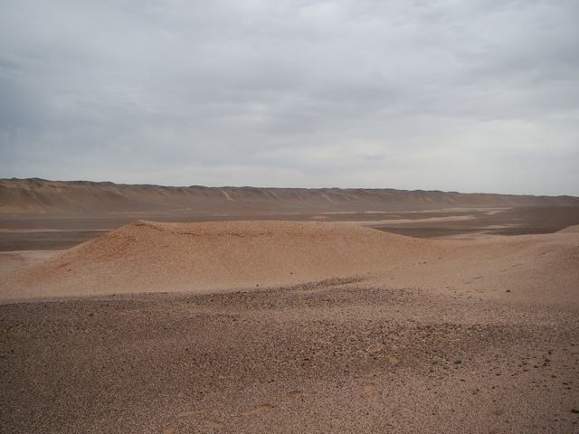 DSC08970.JPG