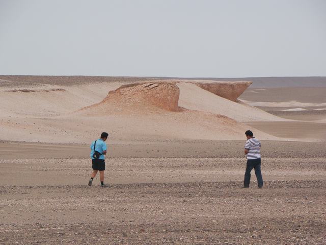 DSC08972.JPG