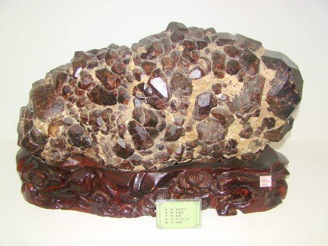 DSC00662.JPG