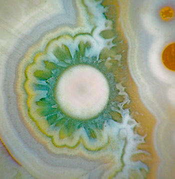 ocean jasper11.jpg