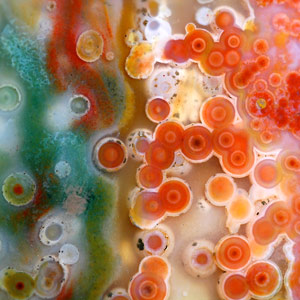 ocean jasper8.jpg