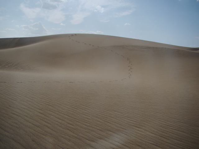 DSC09783.JPG