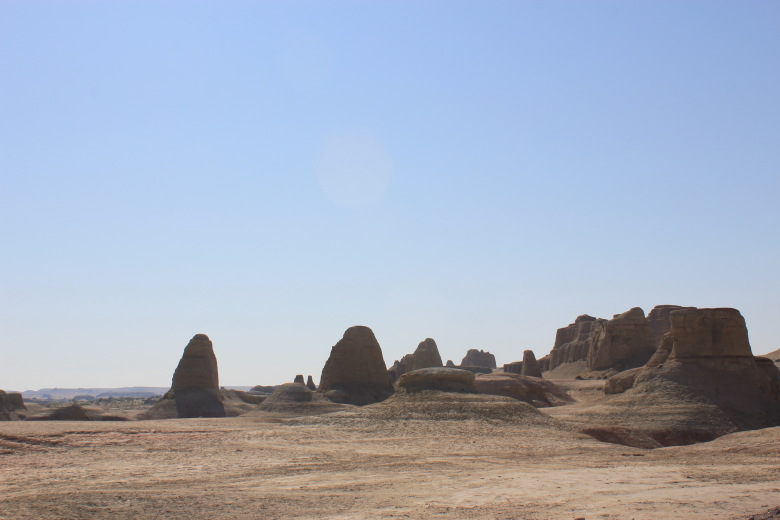 52920201_685284442.jpg