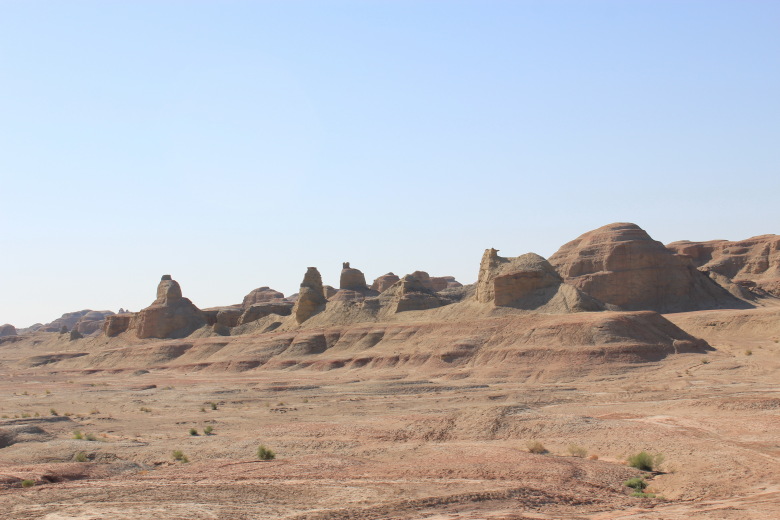 52920201_687145102.jpg