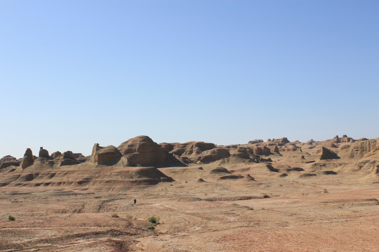 52920201_688445735.jpg