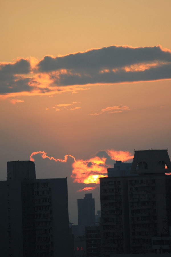 52920201_689181474.jpg