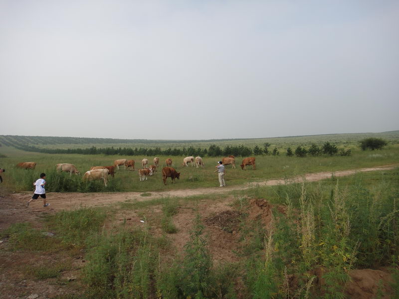 DSC01356_调整大小.JPG