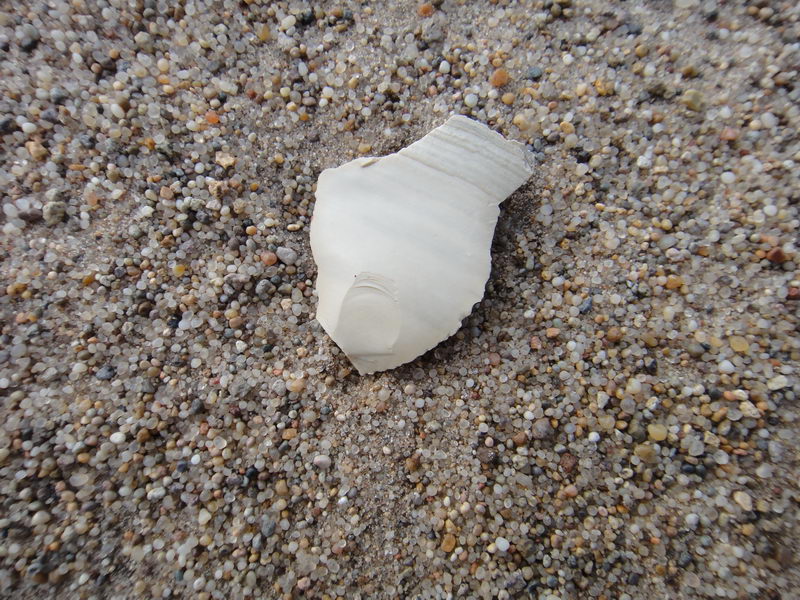 DSC01363_调整大小.JPG
