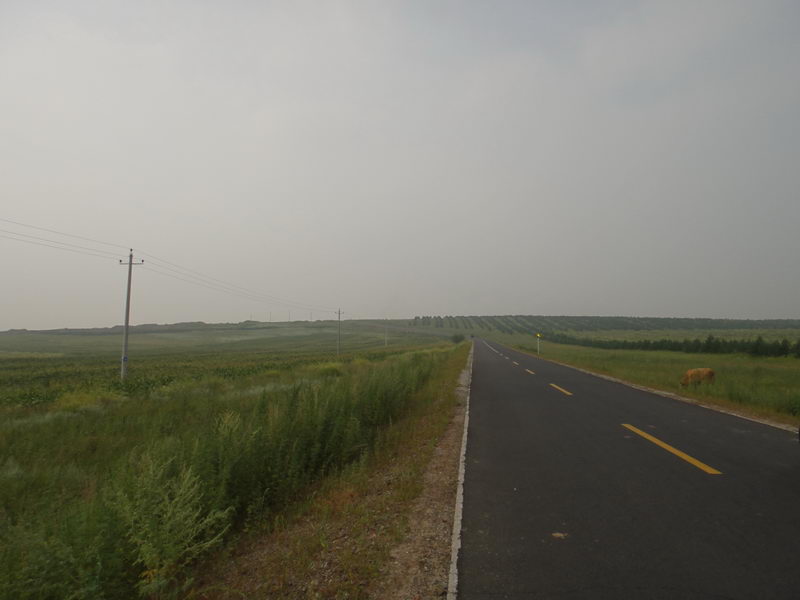 DSC01358_调整大小.JPG