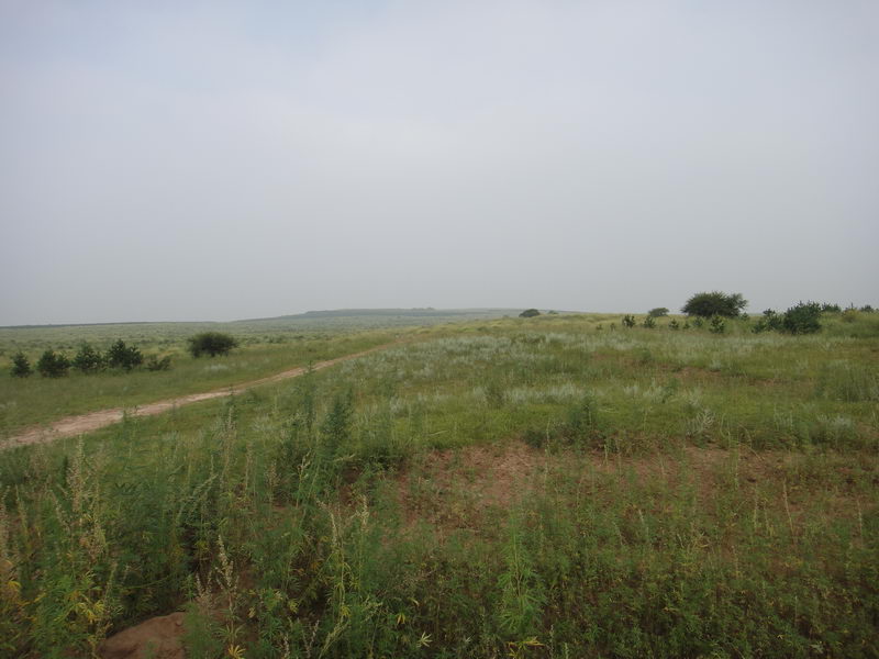 DSC01357_调整大小.JPG