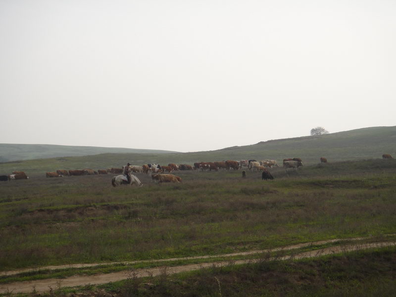 DSC01362_调整大小.JPG