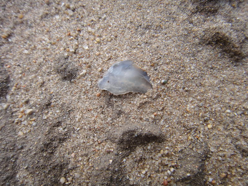 DSC01364_调整大小.JPG