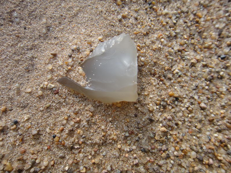 DSC01370_调整大小.JPG