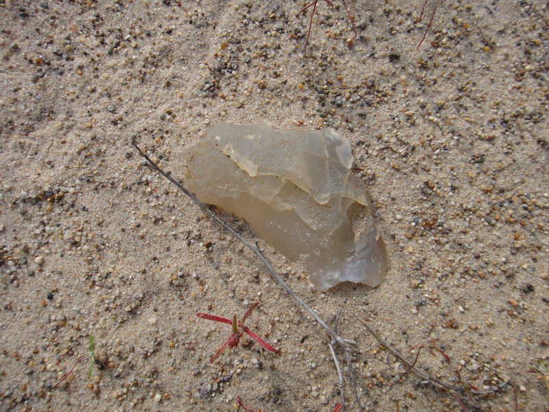 DSC01369_调整大小.JPG
