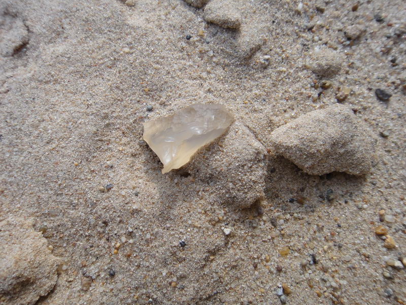 DSC01367_调整大小.JPG