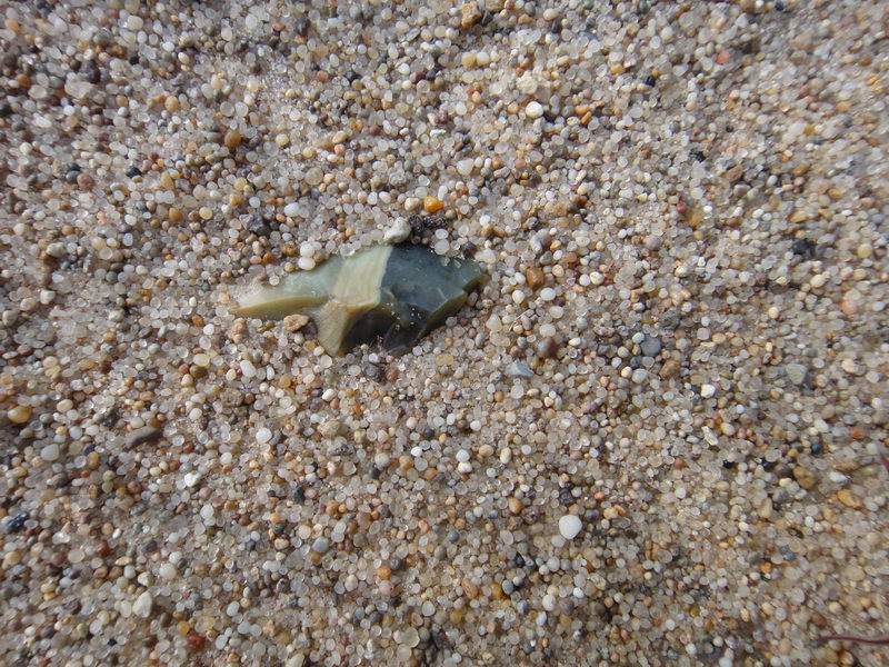 DSC01371_调整大小.JPG