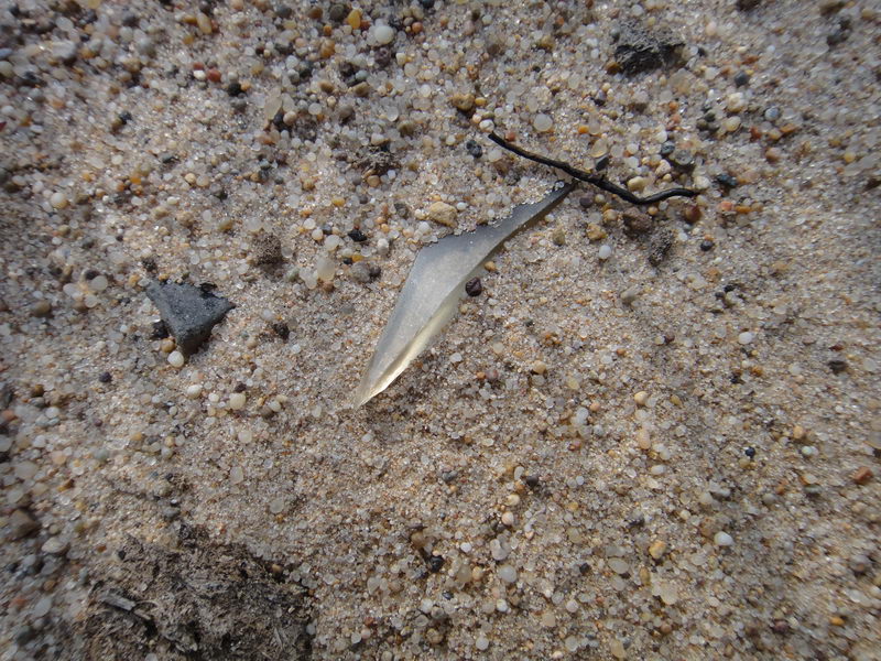 DSC01374_调整大小.JPG