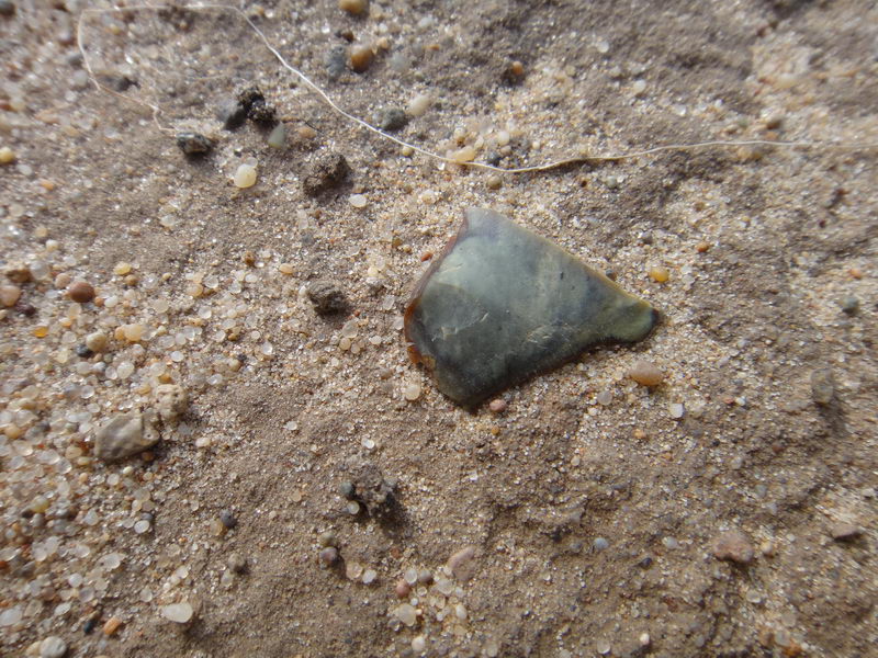 DSC01384_调整大小.JPG