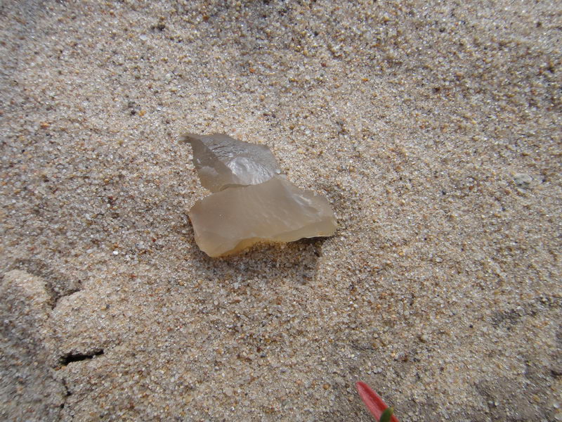 DSC01381_调整大小.JPG