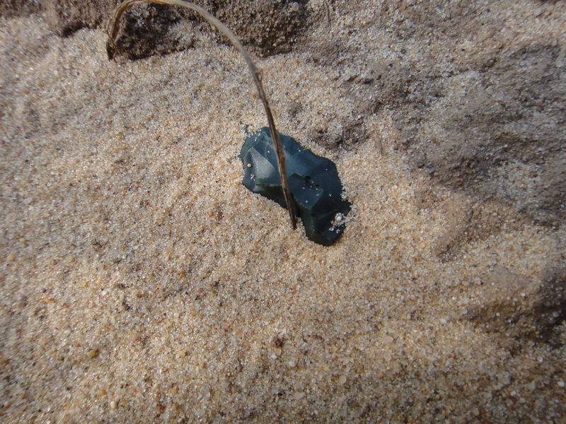 DSC01387_调整大小.JPG