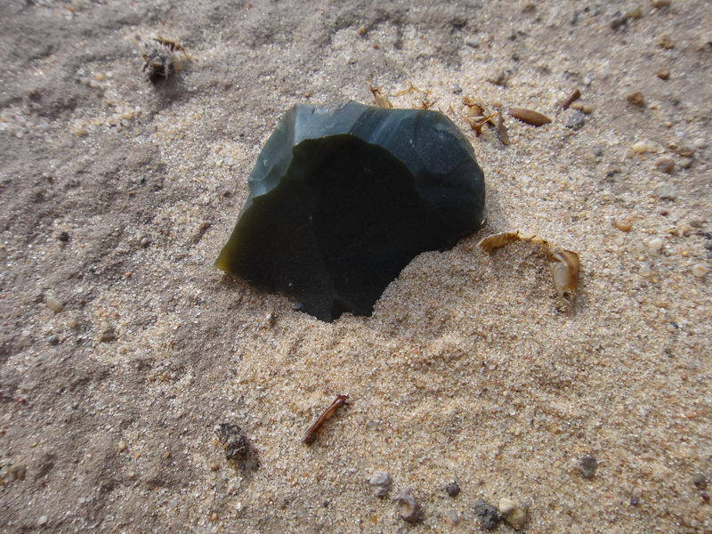 DSC01383_调整大小.JPG