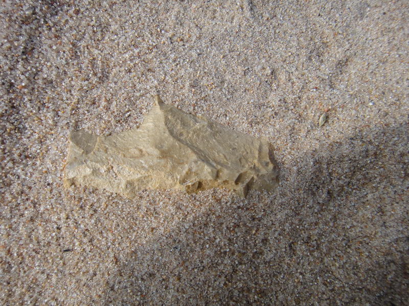 DSC01382_调整大小.JPG