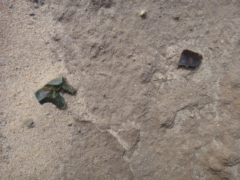 DSC01388_调整大小.JPG