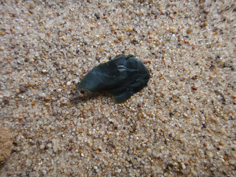 DSC01389_调整大小.JPG