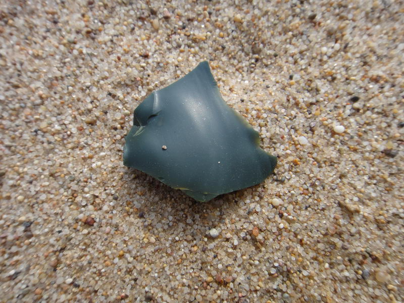 DSC01391_调整大小.JPG