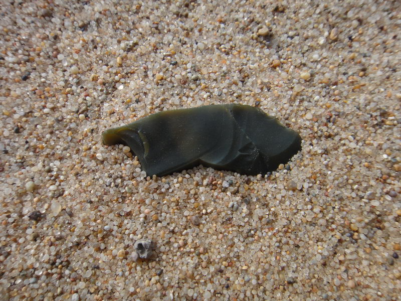 DSC01390_调整大小.JPG