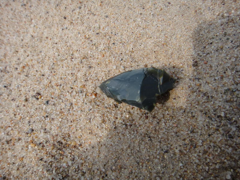 DSC01394_调整大小.JPG